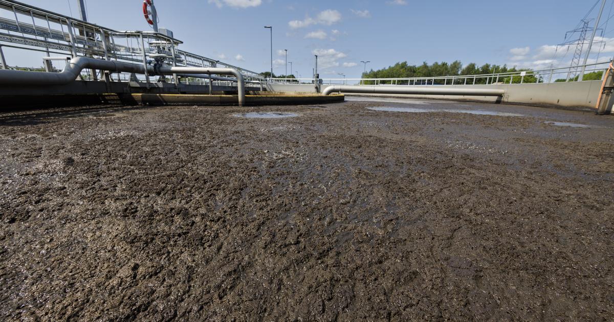 Sydsvenskan Lund tweet media