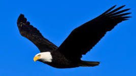 This month’s teaching @fmpsd is LOVE. Love is the gift from the Eagle. It is everyone’s right to have and experience it. ❤️Love yourself, ❤️Love one another, ❤️Love the earth. 🌎 #HumanKind #BetterTogether #BeKind