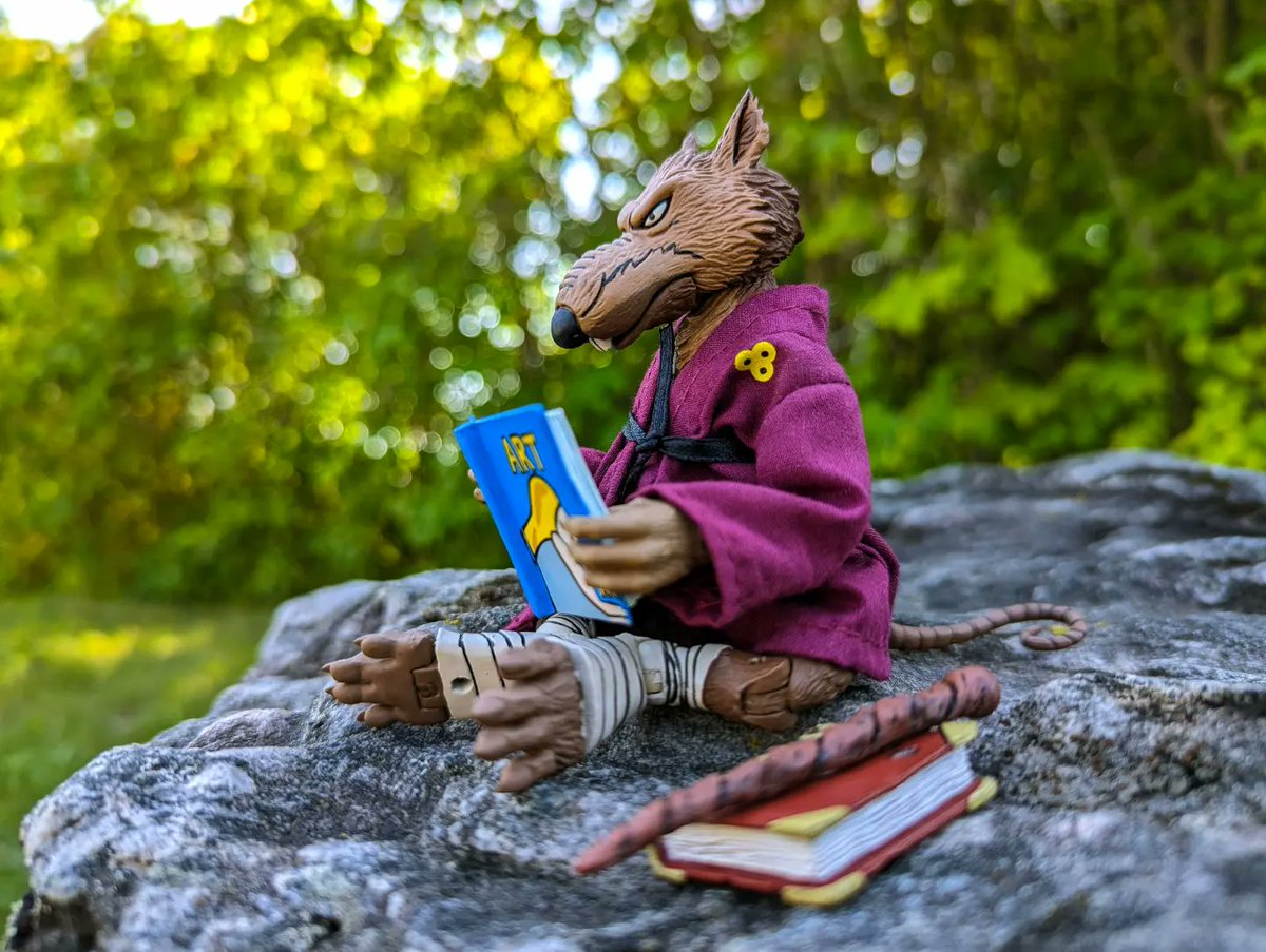 Happy #NationalReadABookDay! 📚

#ACBA #ActionFigures #ActionFigurePhotography #Art #BackToSchool #Books #MasterSplinter #NECA #NECAFanFoto #NinjaTurtles #Outdoors #Photography #ReadABookDay #ReadABook #Splinter #TMNT #ToyPhotography #Toys

Special thanks to @NECA_TOYS