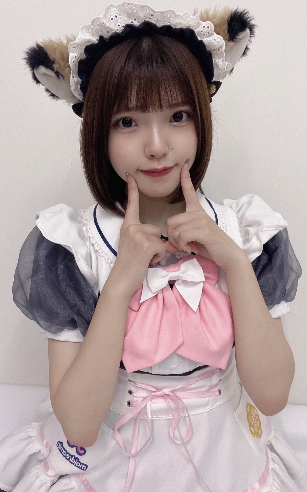 mikenekoさま専用！ みけねこのみけ - অনুসন্ধান / X