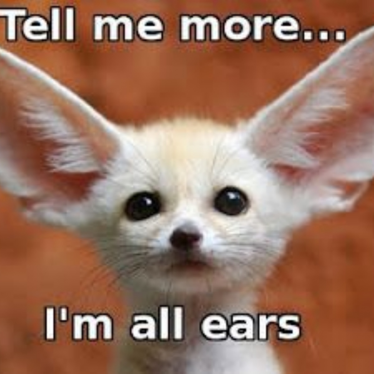 #GP or #GP trainees in the UK <a href="/NASGP/">NASGP</a> <a href="/rcgp/">Royal College of General Practitioners</a> <a href="/SAPACUK/">SAPAC</a> <a href="/GPPACT/">PACT - Primary care Academic CollaboraTive</a> 
Can you help complete this 7-min survey to help us improve the diagnostic accuracy for suspected acute otitis media. forms.office.com/e/LqfHKhA6LJ