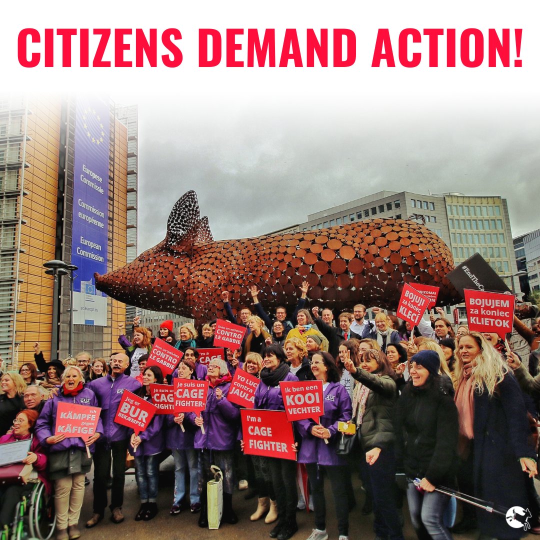 1.4M European citizens want to #EndTheCageAge &amp; the Commission has committed to propose a new law this year.

President <a href="/vonderleyen/">Ursula von der Leyen</a>, please tell us during next week's #SOTEU, when will the EU #EndTheCageAge?

<a href="/PVanKemseke/">Peter Van Kemseke</a> <a href="/VDombrovskis/">Valdis Dombrovskis</a> <a href="/MarosSefcovic/">Maroš Šefčovič🇪🇺</a> <a href="/SKyriakidesEU/">Stella Kyriakides</a> <a href="/jwojc/">Janusz Wojciechowski</a>