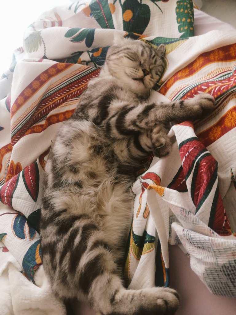 saf sevgi 🧡