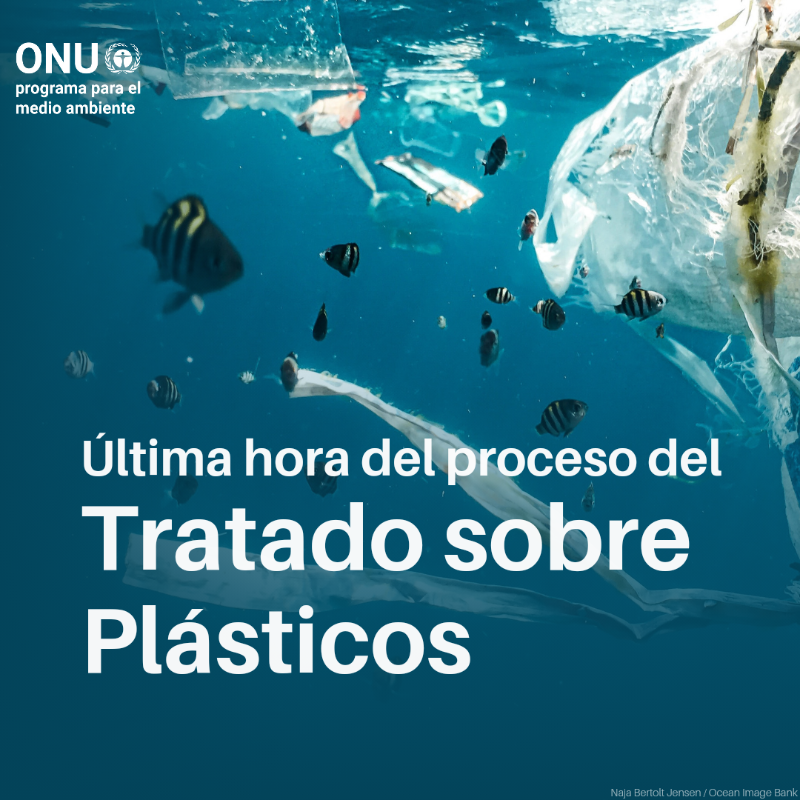 unep_espanol's tweet photo. Ya publicado: el "proyecto preliminar" del Tratado sobre plásticos. #PlasticsTreaty

@Andersen_Inger lo calificó como un momento crucial por un planeta #SinContaminaciónPorPlásticos y alentó a las partes a lograr un acuerdo sumamente ambicioso que fomente un futuro sostenible.