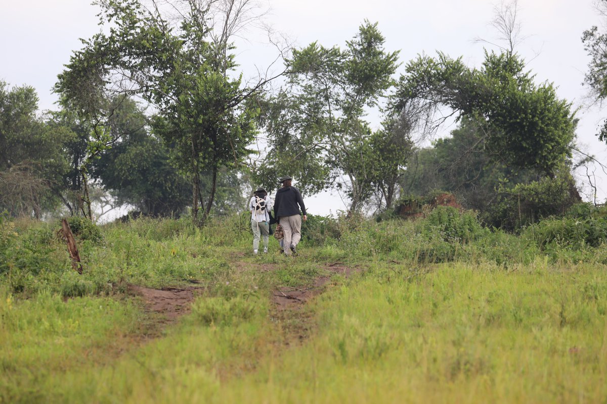 ChigoTours's tweet photo. Lake Mburo National Park, #Uganda - whispers of the wild #photography #WednesdayMotivation #wednesdayphoto #ExploreUganda https://t.co/9LintKE1Lz