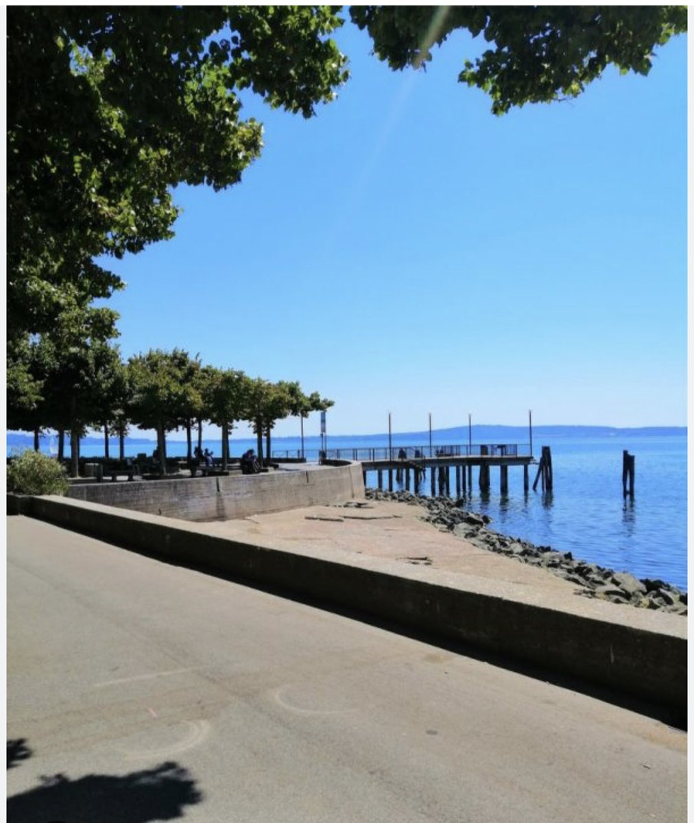 darioDeSanti's tweet image. #manatwork 
Trevignano ❤️