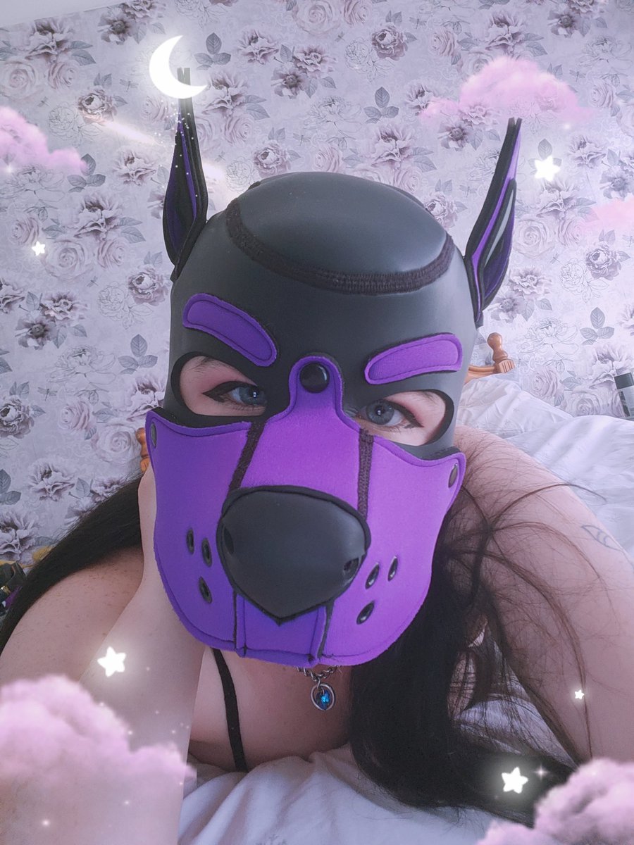 LittleFoxxKitt's tweet photo. Good morning you sexy people 😘

|| nsfwtwt nudes egirl BDSM nsfwaccount kittengirl puppygirl foxgirl neko kawaii petite kink pussy onlyf@nsgirl onlyf@ns f@nsly ddlg petplay kink kinky FYP furry goodgirl submissive lewd hentai || https://t.co/zuwoJS3z4i