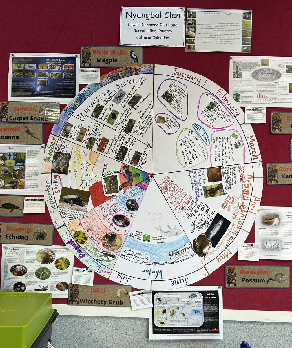 Here’s the Six Seasons of the Ngunya Jargoon Indigenous Protected Area- Nyanbul Country Lower Richmond River NSW. We are learning about our area and the people before we liaise and create yarning circles with our mob #USYDSTEM <a href="/kath_cartwright/">katherin cartwright</a> <a href="/MattScottteach/">Matt Scott</a> <a href="/StacieLuppi/">Stacie Luppi</a>