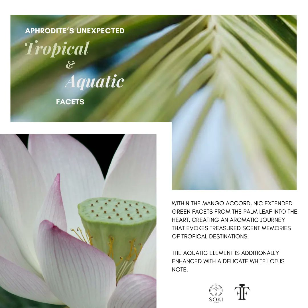 Explore the signature facets and bespoke accords crafted by Perfumers Ruth &amp; Nic Mastenbroek, capturing the essence of Aphrodite, the goddess of love, in their latest creation, Aphrodite by Soki London. 

#behindthescent #fragrance #fragrancelover #newfragrance #newperfume