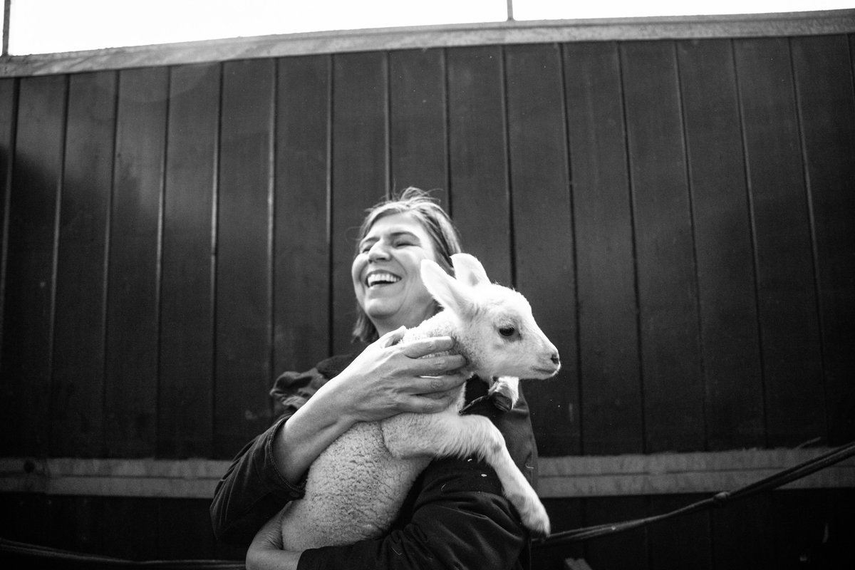 Anja Hazekamp tweet media