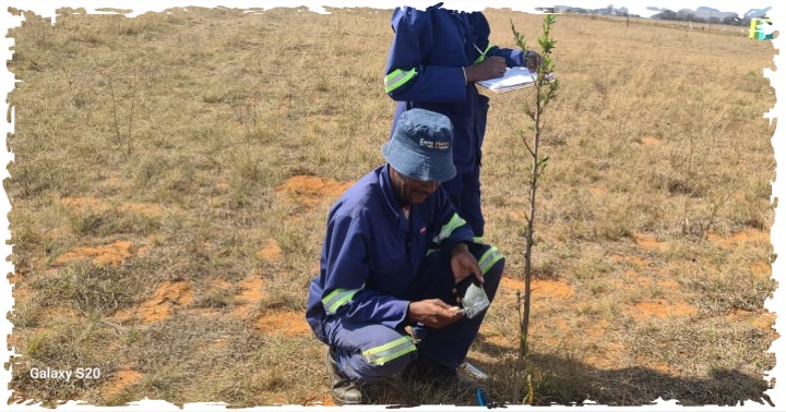 terragrn's tweet photo. As part of TERRAGRN soil moisture monitoring, we measure water/water vapour held per soil unit. The soil's moisture-holding capacity can be influenced by regenerative practices such as incorporating organic matter &amp; using mulch to cover the soil to reduce evaporation.

#TERRAGRN https://t.co/RE5aJXtcUu