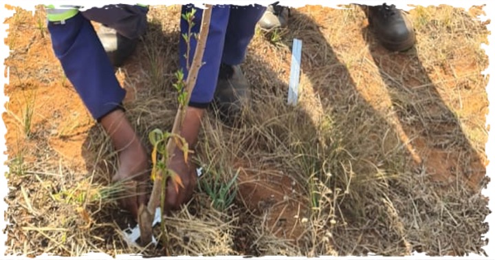 terragrn's tweet photo. As part of TERRAGRN soil moisture monitoring, we measure water/water vapour held per soil unit. The soil's moisture-holding capacity can be influenced by regenerative practices such as incorporating organic matter &amp; using mulch to cover the soil to reduce evaporation.

#TERRAGRN https://t.co/RE5aJXtcUu