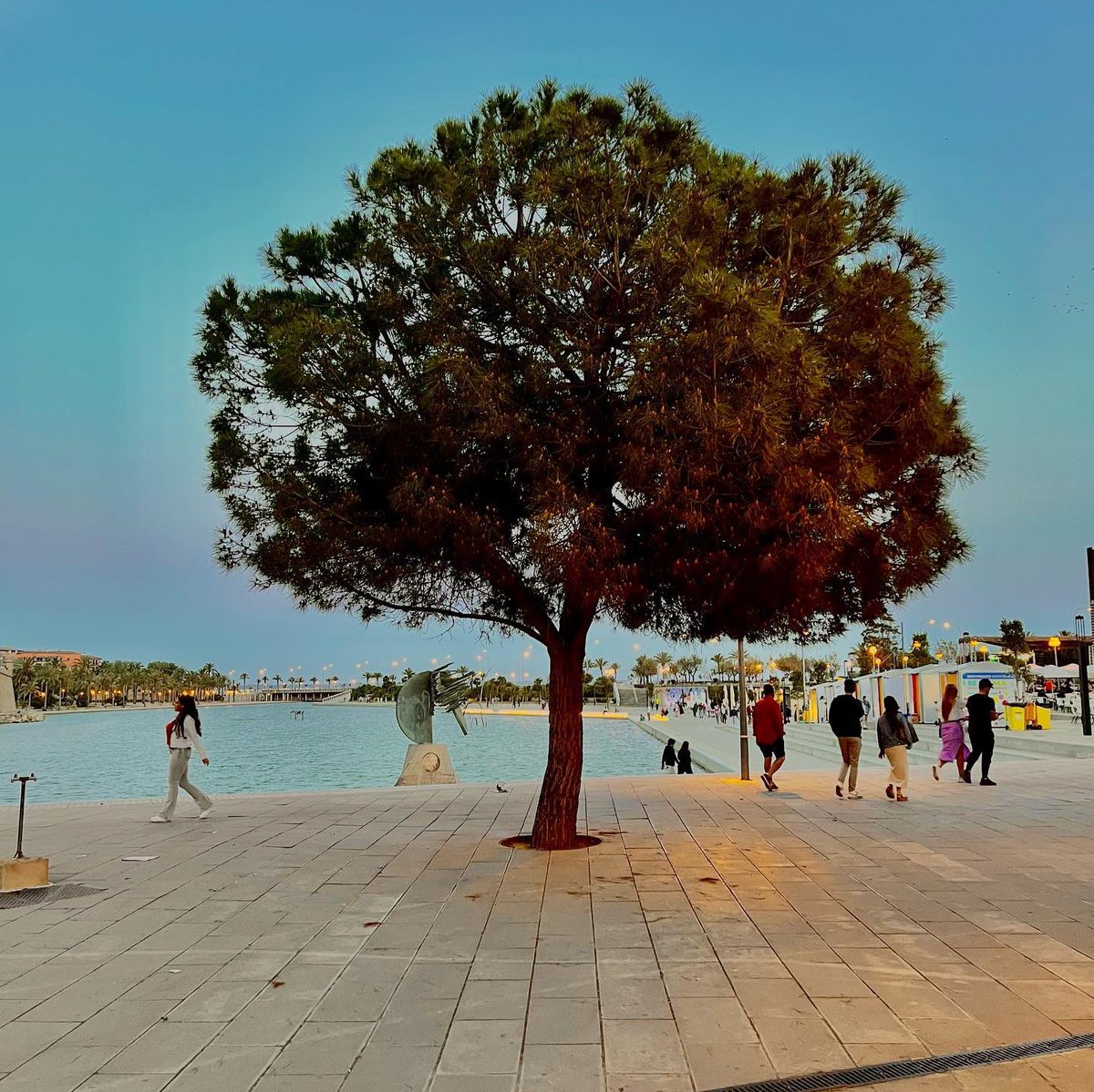 Si vives en Palma seguro que ya conoces la respuesta 😄 ¿Sabes qué simboliza el lago del Parc de la Mar? 🤔   #VISITPALMA   📸mallorca_immotional