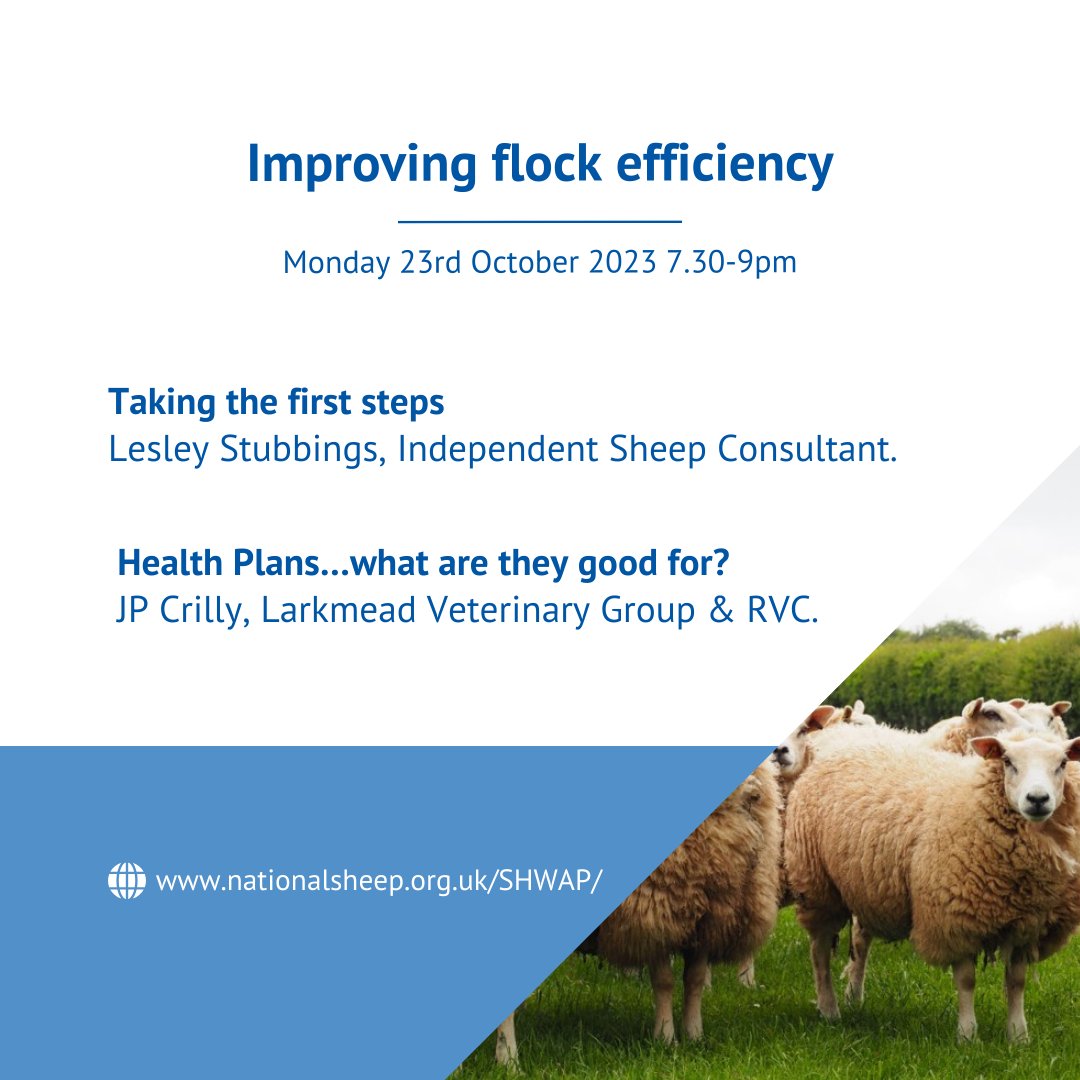 natsheep's tweet photo. NSA South East Region SHWAP online conference🐑💻

Each evening session will host 2 to  3 speakers, and will have opportunity for Q&amp;A🗣

📅23rd, 24th and 26th October
⏰7.30-9pm

⭐️Each worth 2 RoSA points!

Find out more and register to attend ⤵
https://t.co/VCvoHpLmBA https://t.co/OsDEcUkFPK