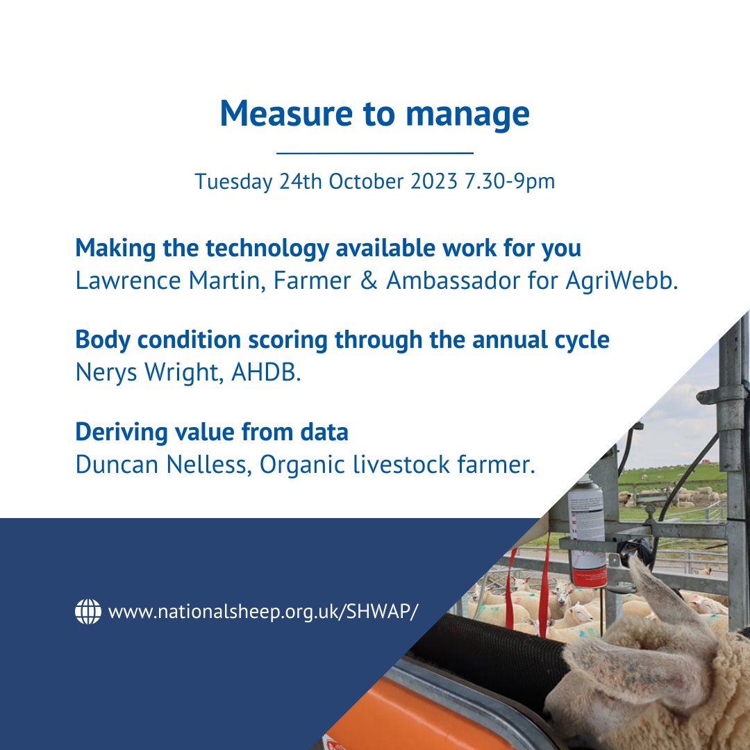 natsheep's tweet photo. NSA South East Region SHWAP online conference🐑💻

Each evening session will host 2 to  3 speakers, and will have opportunity for Q&amp;A🗣

📅23rd, 24th and 26th October
⏰7.30-9pm

⭐️Each worth 2 RoSA points!

Find out more and register to attend ⤵
https://t.co/VCvoHpLmBA https://t.co/OsDEcUkFPK