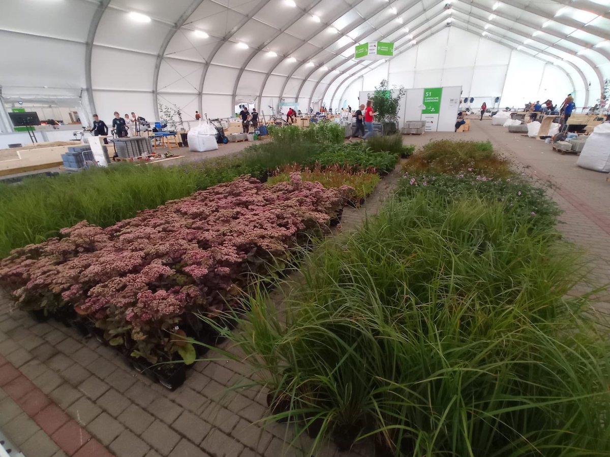 easolsones's tweet photo. @ESGdansk2023 @EuroSkillsEvent @fpcatalunya @ruralcat @emprencat @GremiJardineria @sesolsones @CCSolsones @SpainSkillsBlog @Campionat_Catsk @DaniTarres @ojsolsones @agriculturacat @PolsatPlusArena @HORTOJARDI 🪴⚒️ L’Albert Prat i l’Albert Casas ja han començat el primer de competició de #JardineriaPaisatgística a l’@ESGdansk2023.

✅ Disseny i briefing 
➡️ Replanteig del camí 
➡️ Construcció de jardineres 

🔛💪🏽 Endavant, companys! 

#SomTalentEA #SomEASolsonès #Euroskills2023 https://t.co/qUJPZx2tl0