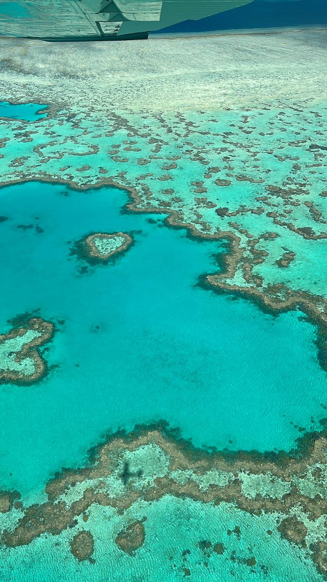 Vuelo por la barrera de coral, un día de trabajo.