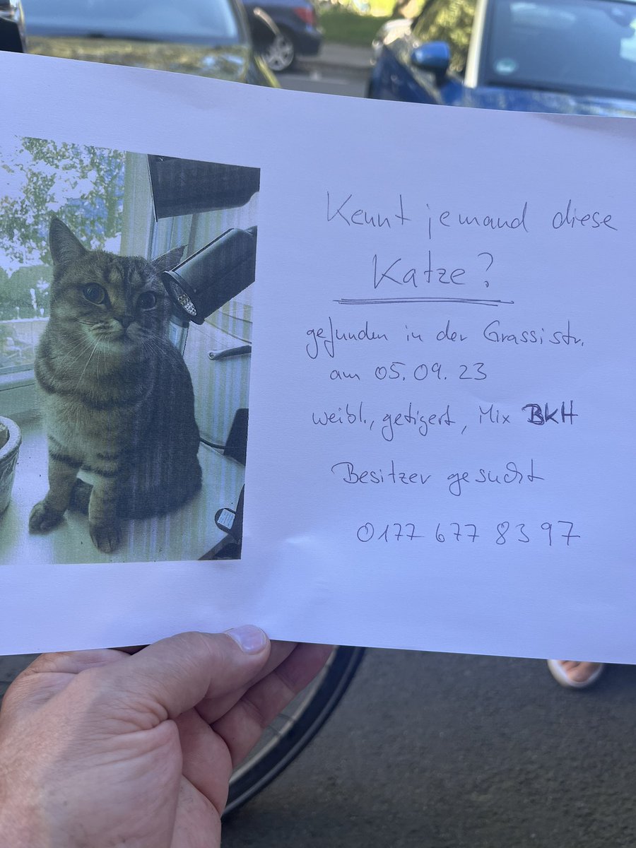 Katze gefunden, Grassistraße, getigertes Mädchen, Besitzer gesucht. 01776778397