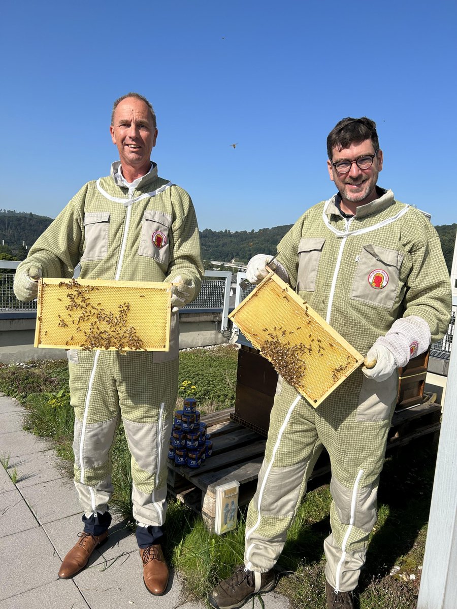 VBinSWF's tweet image. 🐝Die Volksbank hat seit Jahresbeginn 150.000 neue Mitarbeiter_innen: Auf  dem Dach der Hauptstelle #Siegen haben 2023 unsere Bienen 65 Kilo Honig  produziert.  Im Interview gibt unser Imker interessante Einblicke in seine Arbeit: voba.li/9q6i3R #vbinswf #Südwestfalen