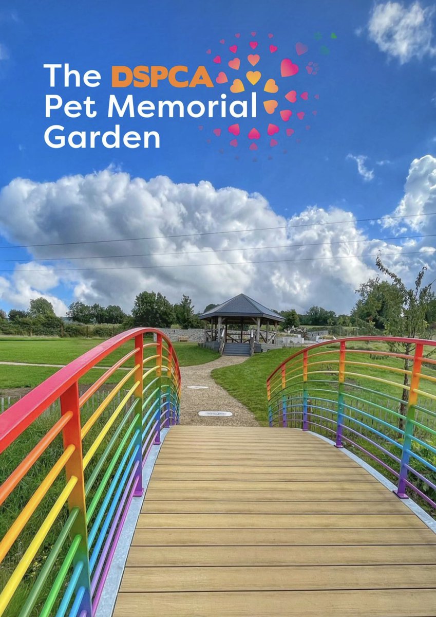 You know I adore #animals so you can imagine how honoured I am to sing at the opening of @DublinSPCA 's #petmemorialgarden tomorrow 🐾💖🌻 A beautiful, tranquil place to remember beloved #pets who have crossed the #rainbowbridge 🌈☁️#dspca #dspcagarden #animalshelter #petmemorial