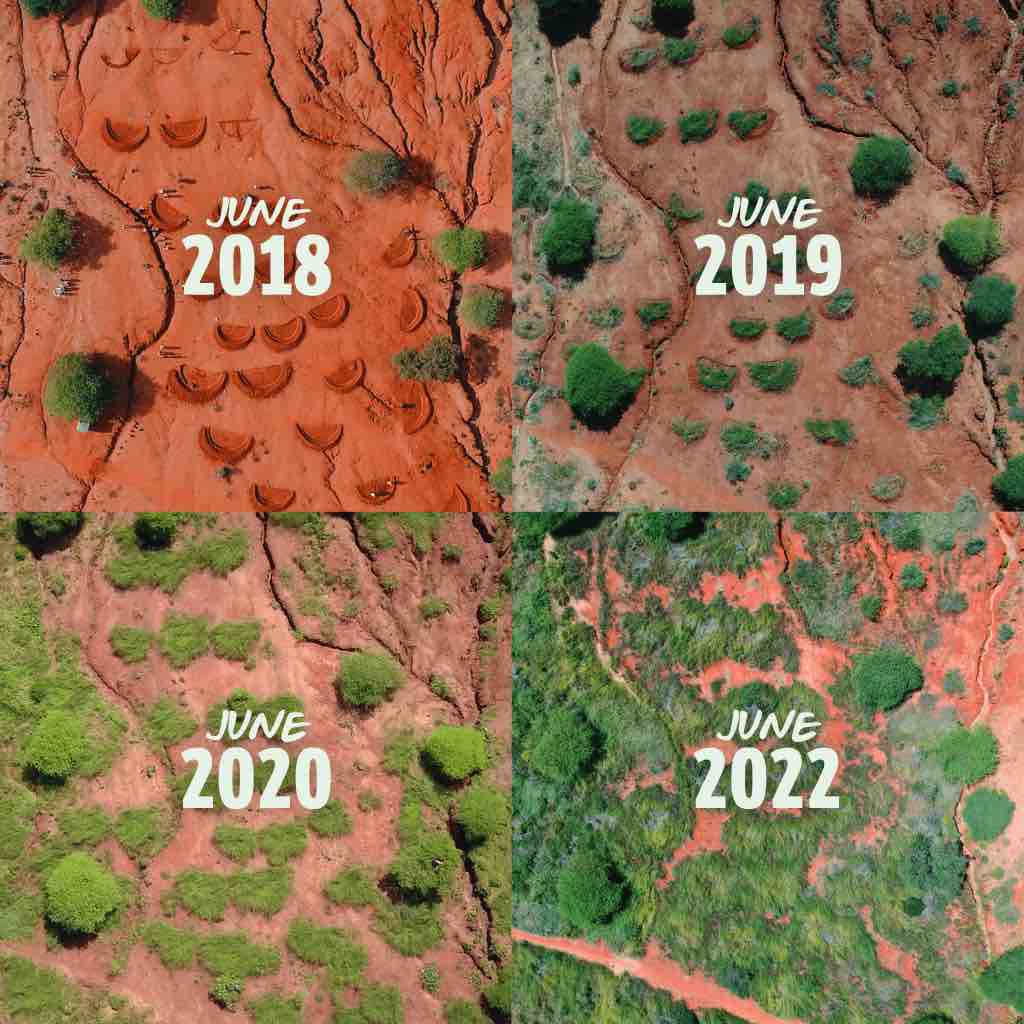 Los agujeros que quieren transformar África: Campesinos de Kenia y Tanzania han cavado más de 200.000, reverdeciendo 300.000 hectáreas.

ecoinventos.com/los-agujeros-q…