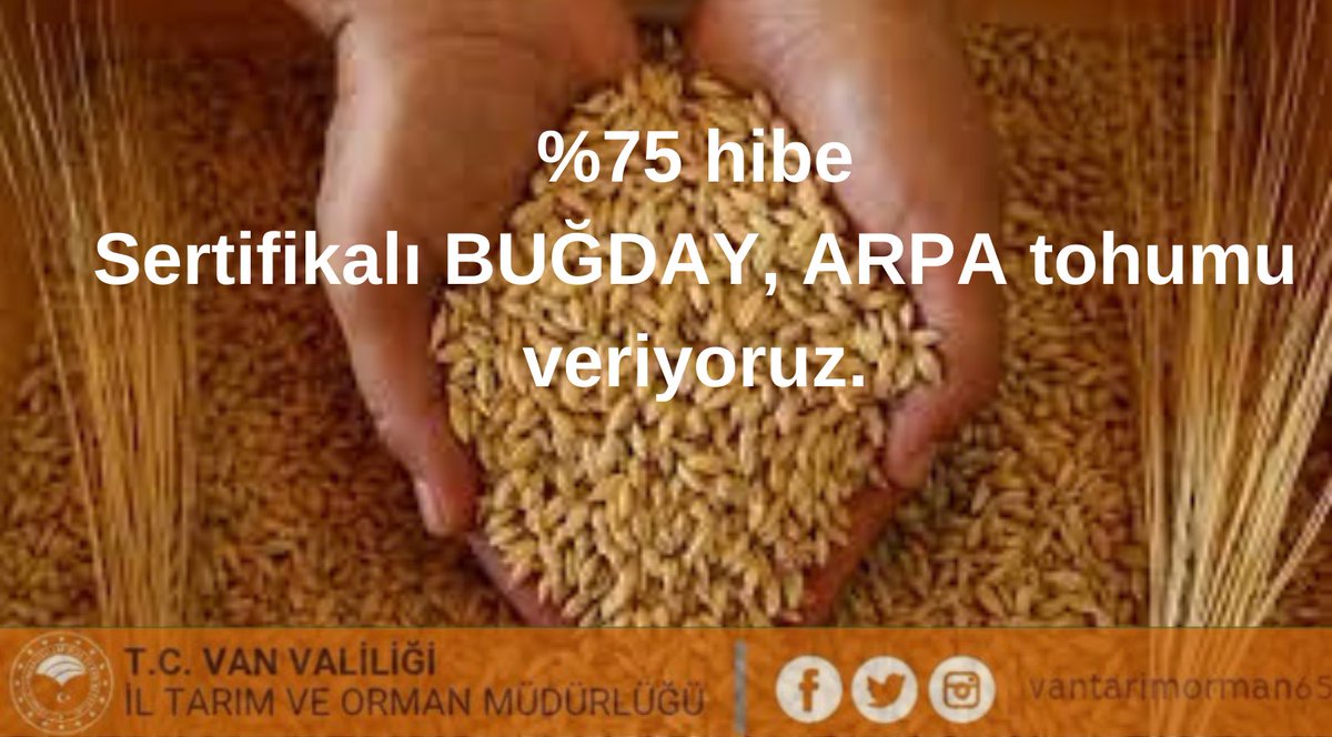 İl Müdürlüğümüzce %75 Hibe destekli, sertifikalı Buğday-Arpa tohumu dağıtımı için müracaatlar 06.09.2023-21.09.2023 tarihleri arasında bağlı bulunulan İlçe Müdürlüklerimize yapılacaktır. Çiftçilerimize önemle duyurulur.
<a href="/ibrahimyumakli/">İbrahim Yumaklı</a> <a href="/tcvanvaliligi/">T.C. Van Valiliği 🇹🇷</a> <a href="/igorentas/">İbrahim Görentaş</a>