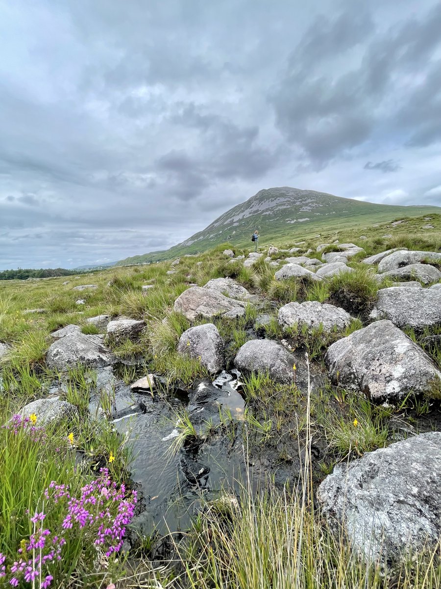JacobWLewis's tweet photo. Hiking through a misnomer. This Donegal 🇮🇪 beauty spot was called ‘An Gleann Neamhe’ or The Heavenly Glen 🪽, until an English cartographer mistranslated it as ‘An Gleann Neimhe’ – The Poisoned Glen ☠️ Got a favourite misnamed travel destination? https://t.co/WuYd9KE8ML