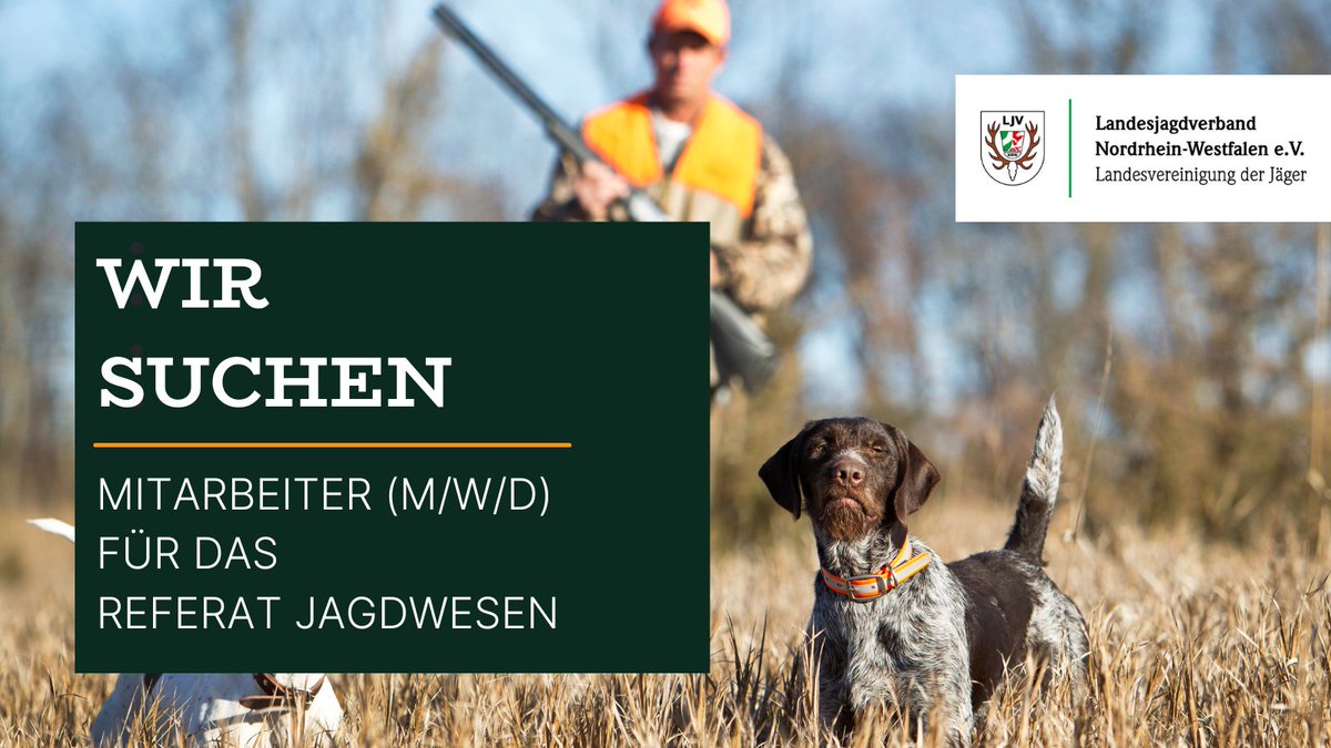 Lust auf spannende Aufgaben im Jagdwesen?
Bei uns im Referat dreht sich alles um die Organisation und Unterstützung einer breiten Palette jagdlicher Veranstaltungen: Schießwettbewerbe, Hundeprüfungen, Jungjägerausbildung und mehr. ljv-nrw.de/stellenanzeige… #Stellenausschreibung