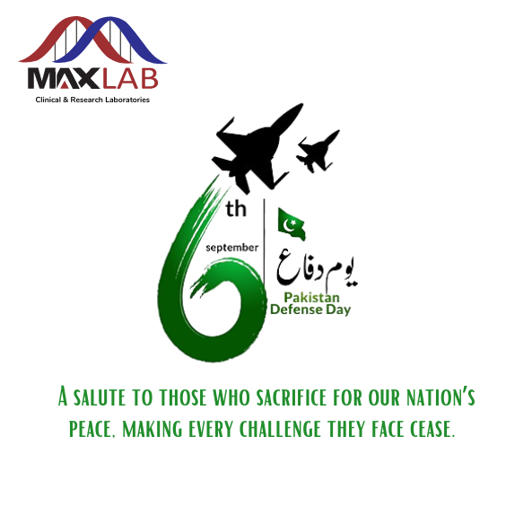 max_lab786's tweet photo. On this Defence Day, let us honor and acknowledge the unwavering courage and valour displayed by our brave soldiers as they defended the sovereignty and integrity of Pakistan. https://t.co/GGEZrX101i