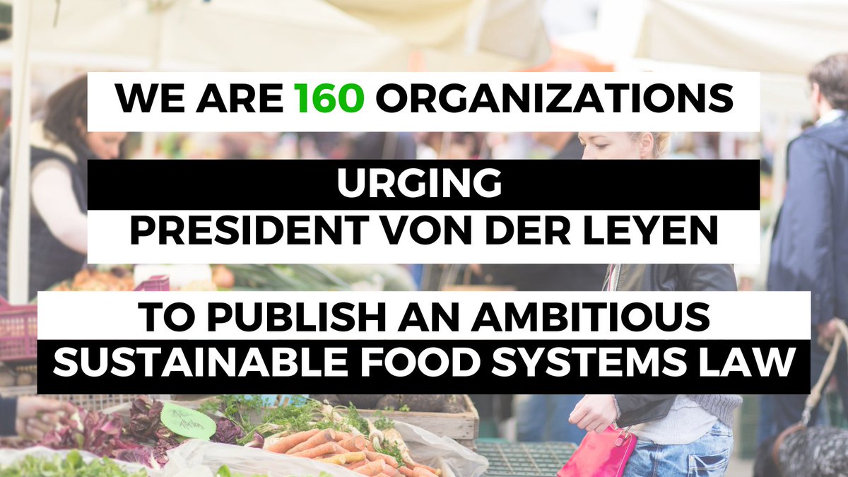 ⏳<a href="/vonderleyen/">Ursula von der Leyen</a>: EU elections are coming &amp; your #EUGreenDeal is at stake!
✊Don’t give up on your promise to EU citizens to provide healthy &amp; sustainable food for all!
📢 We need a Sustainable #FoodSystems Law, NOW!
#GoodFood4EU #EUFarm2Fork

bit.ly/3PqbqwN
