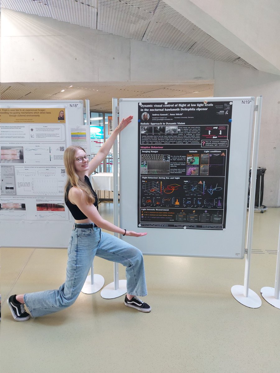 Are you at the #dzg23 and have you ever thought about how flying insects might adapt their flight strategies to optimise visual acquisition in dim light? Come and check out poster N19 from our @AndreaGonsek! @DZG_FG_Neurobio @ZoolSocietyGer @MultiscaleC