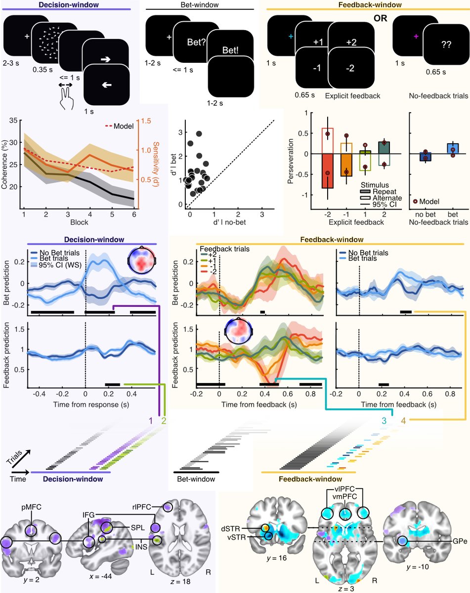 How does confidence compare to explicit feedback in learning? We explore this in a new pre-print! With @AndreaPisauro and @PhiliastidesMG @CCNi_UofG