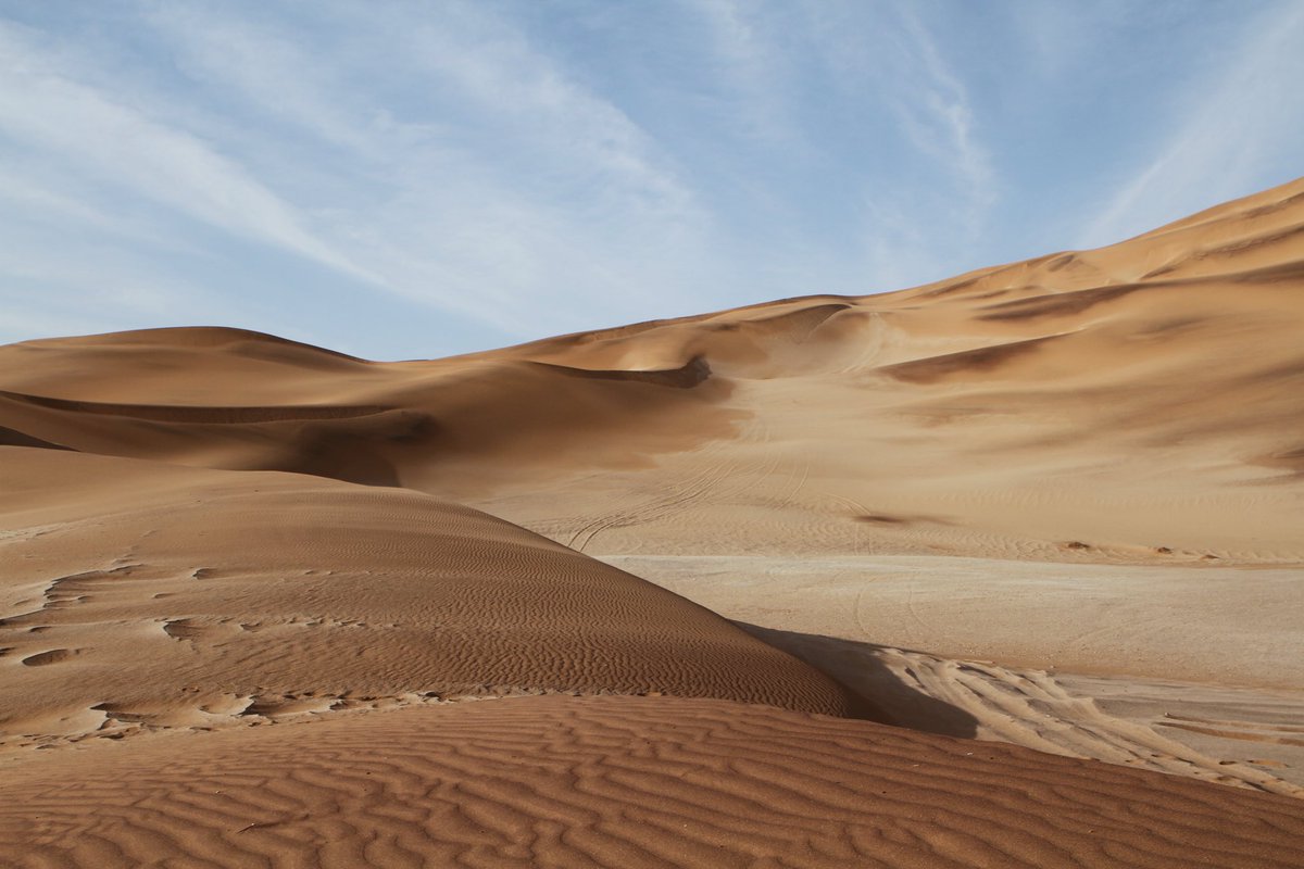 skeleta_tours tweet picture