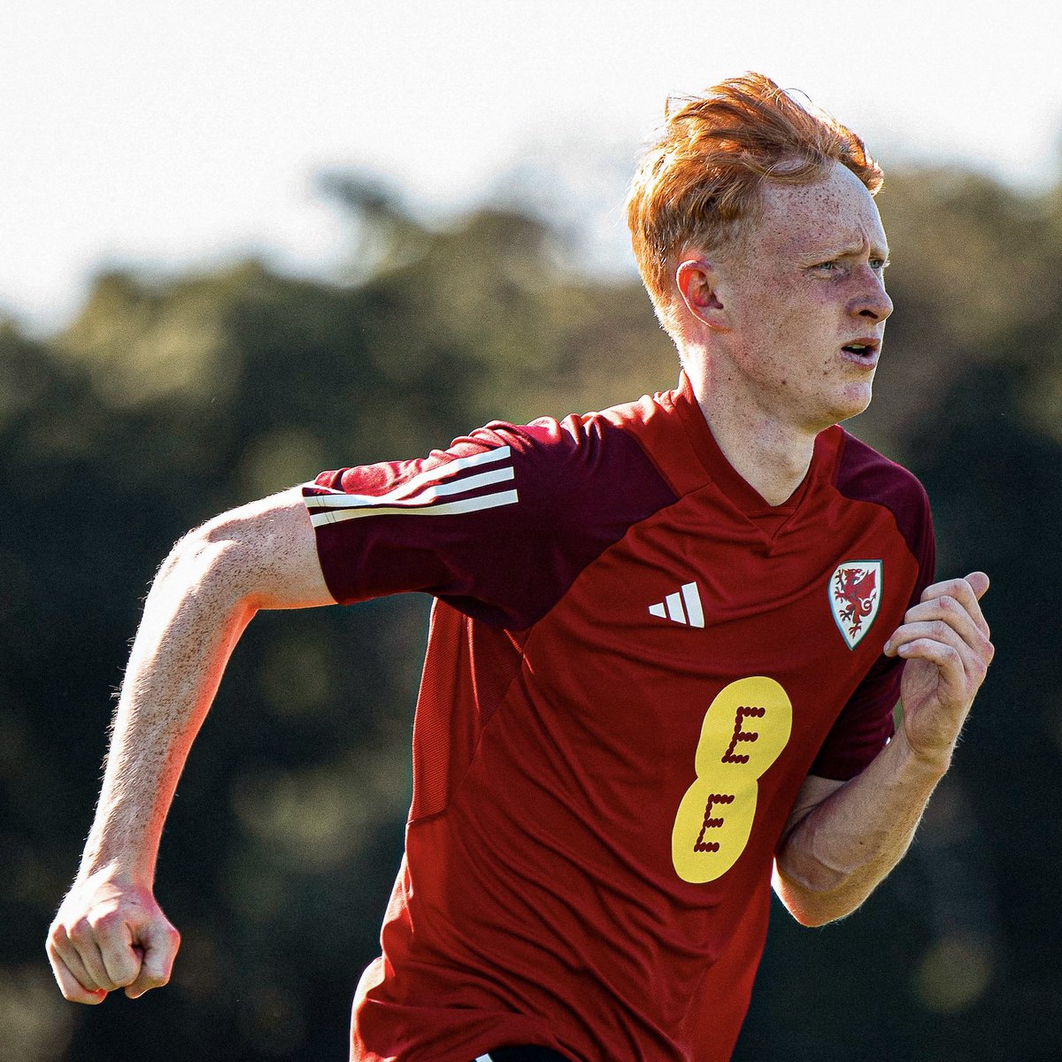 Good luck to Oli Hammond (Wales 21’s), Jamie McDonnell (NI 21’s) and Joel Thompson (NI 19’s) on international duty this week.  Experiencing this type of ‘best v best’ player challenge accelerates learning.  All the best lads.