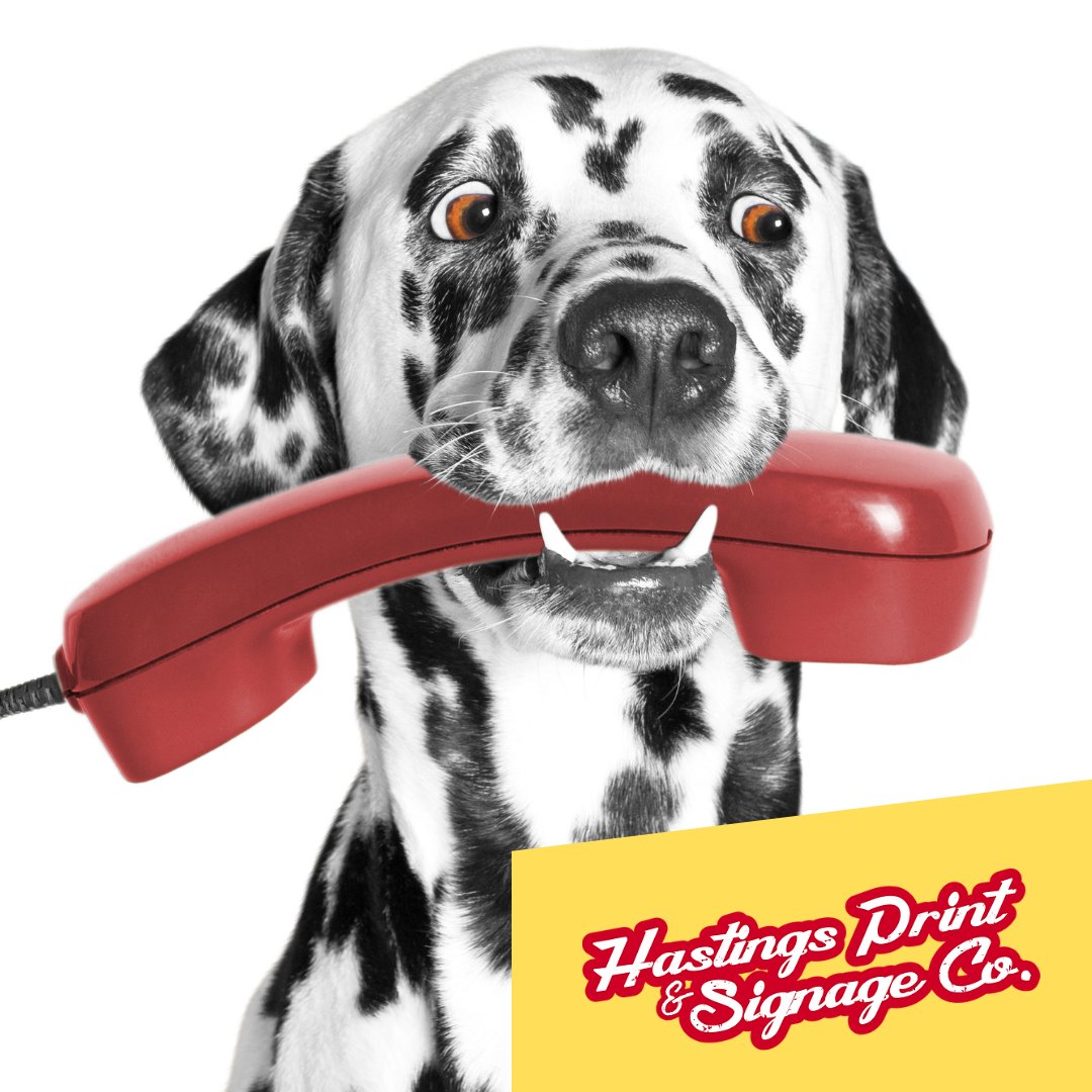 HastingsPrint's tweet photo. We make it as easy as possible to get in touch, with a chat feature on our website, actively monitored emails (no automated bots here!) and a direct phone number that rings straight through to our team at Hastings HQ. 

📞 01424 722733 📧 hello@hastingssignage.com #print https://t.co/08cdUYSzrw