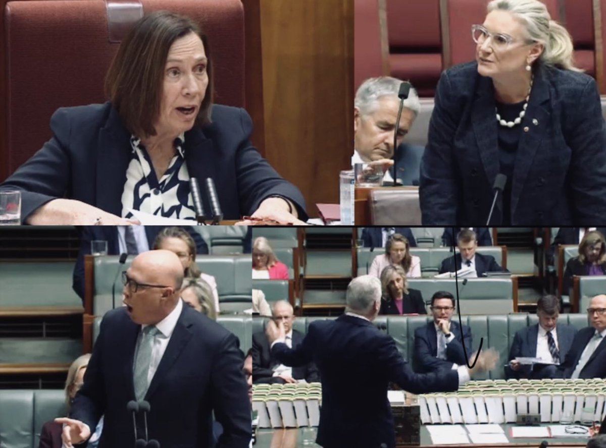strangerous10's tweet photo. Some shots from #QT today.
Senate President Sue Lines gives Hollie Hughes a shellacking over disorderly conduct.
Peter Dutton attacks Speaker Milton Dick over a point of order not going his way.
Tony Burke gives it to the Opposition over constant attempts to stop debate. https://t.co/ozT5VJBVIm