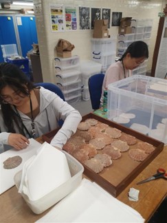 NHM_Digitise's tweet photo. 'If you ever get the opportunity to become a digitiser, seize it!’ 

We have been lucky enough to have Janice and Ying with us on placements from @LeicsMusStud this summer. Find out more about what they have been up to in their blog: 

https://t.co/f93khtbuBi https://t.co/iVakAsa3zb