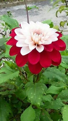 Yc5ZfjZydt06xTP's tweet photo. @MyChubby79 https://t.co/X4O7rA345D
