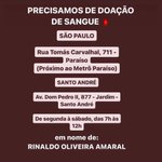 Photo by Biquini Cavadão (@biquini)