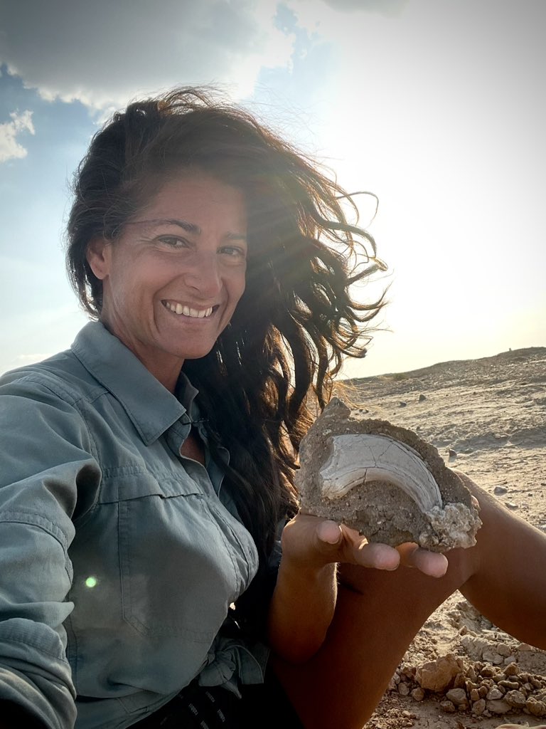 Lindsay Zanno tweet media