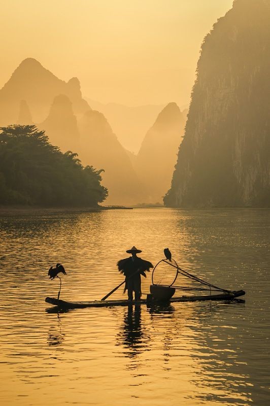 Feriminaee's tweet photo. Cormorant fishermen in Guilin, China - Photography by Anne McKinnell
@Architectolder
@Travitinerary
#Travel #Destination #Backpacking #ChinaVacation #ChinaPhotography #Asia #Holiday
#photography #photo #sea #river #fisherman #fishing https://t.co/pXDK4l5iZB