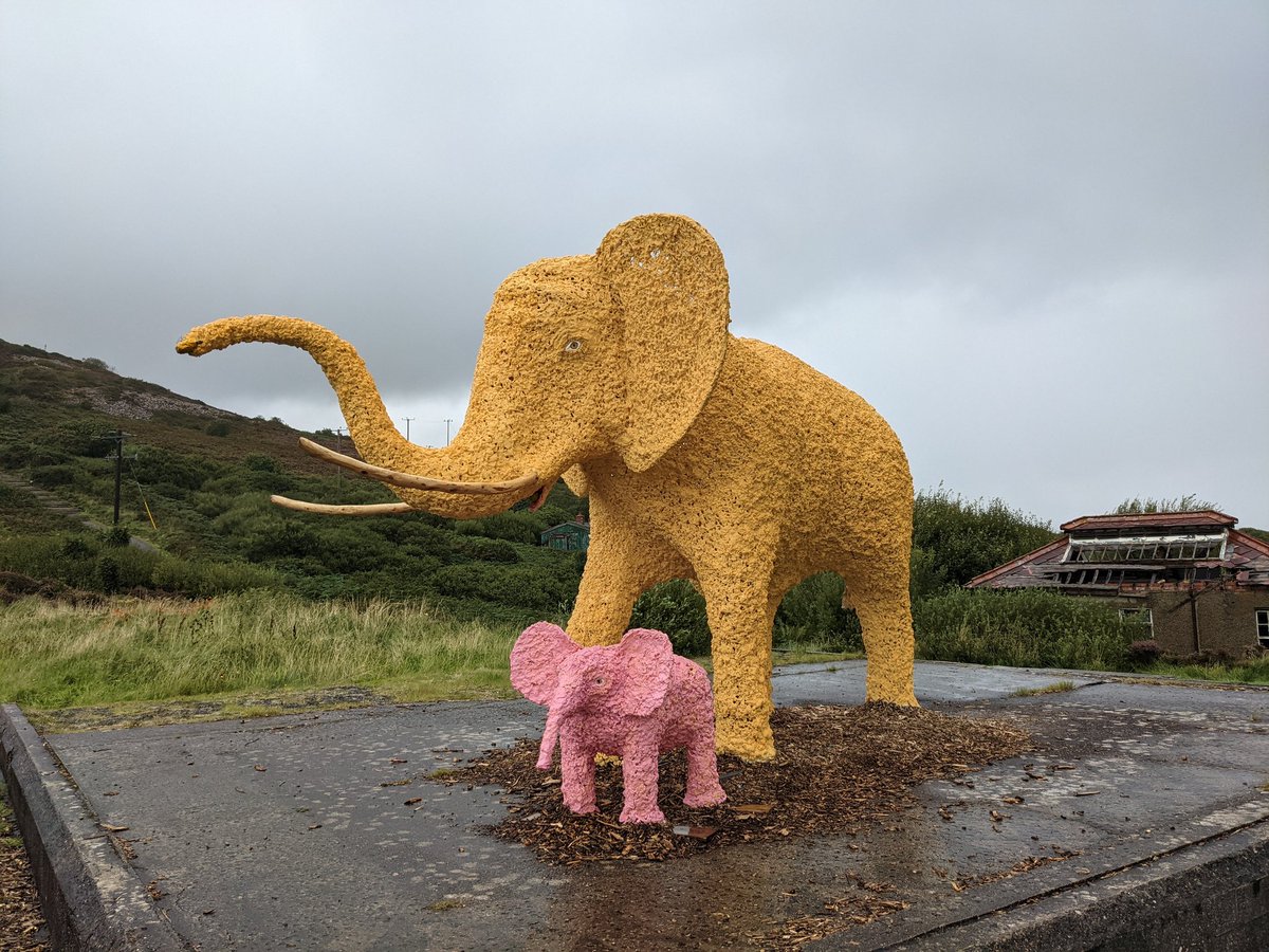 The Elephants not for  moving.
They where due to move on 4 Sep but due to steady flow of visitors traveling from far and near to see them at #FortDunree #artlink I have agreed to let them stay for while longer #donegalelephant #elephant #Donegal #elephantintheroom