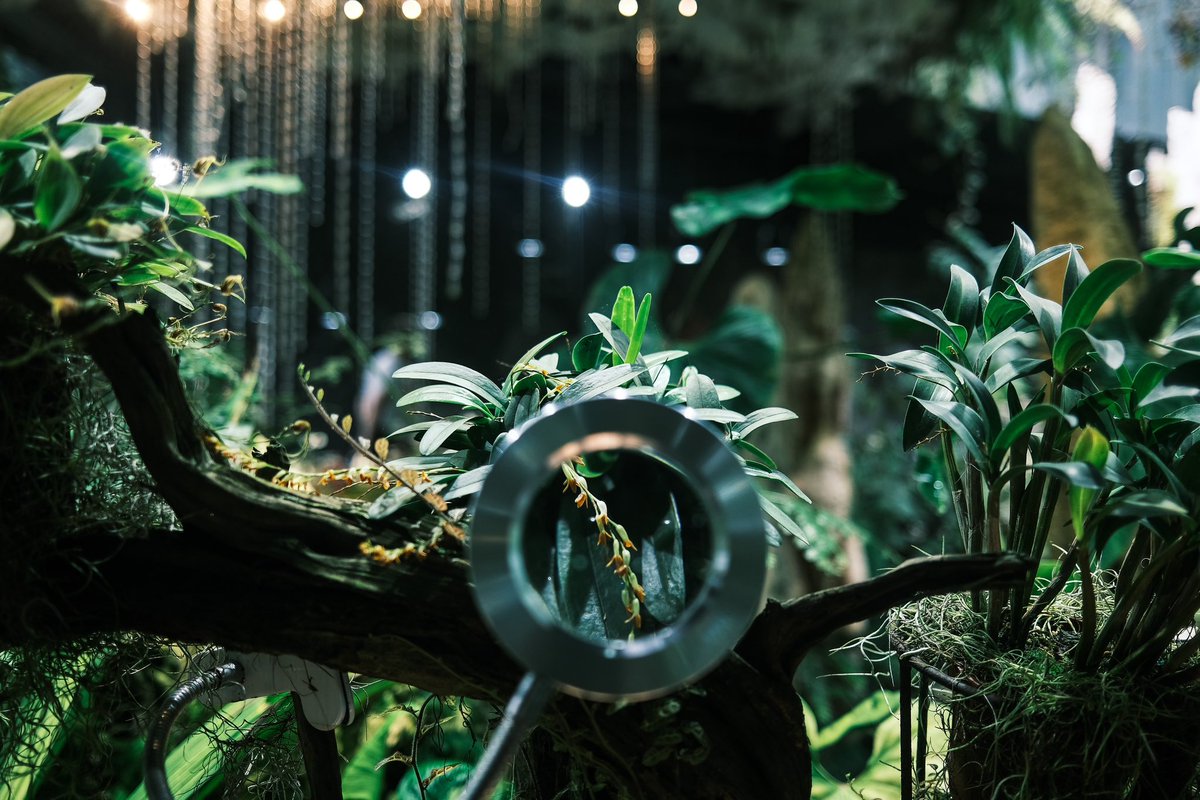 Diannesimages's tweet photo. Cloud Forest - Singapore 
#cloudforest #Singapore #marinabaysands #FUJIFILM #travelphotography #fujifilm_xseries https://t.co/5xQyoiyuwZ