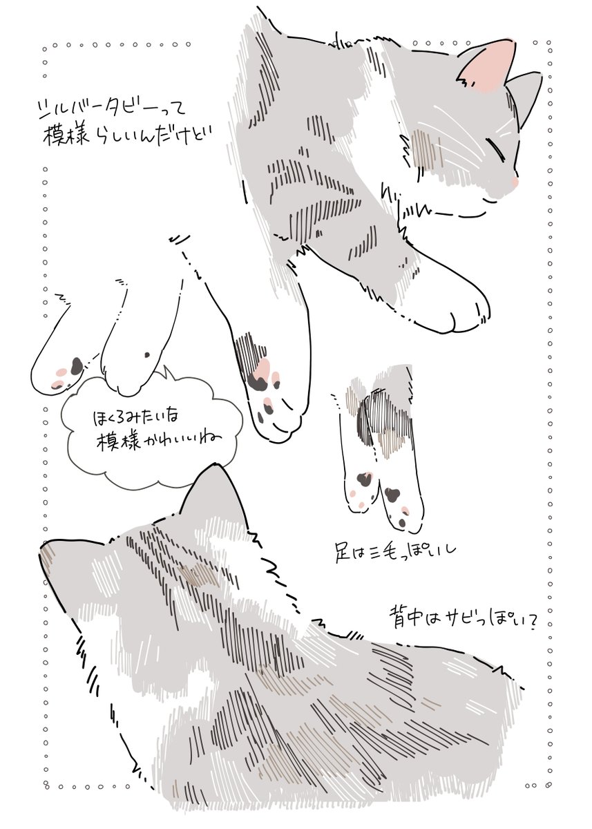 突然のうちの猫ちゃんスケッチ 