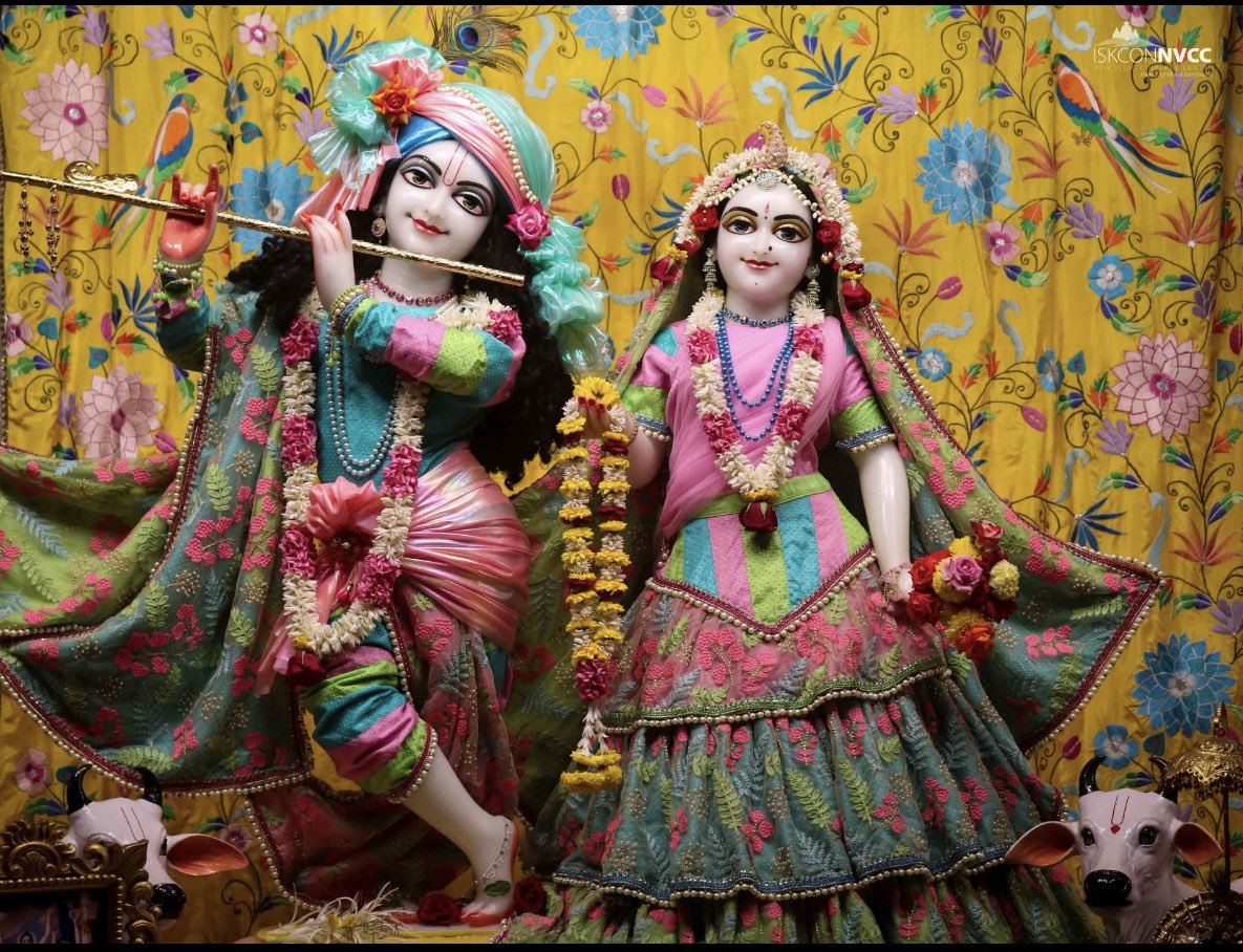 Shri Krishna janmashtami 🙏🙏🙏 #ISKCON #iskcontemple 💐🙏