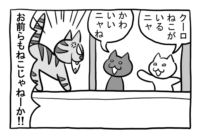 ねこまんがかいてみた303「発見」

#ねこ #ネコ #猫 #白猫 #黒猫 #猫漫画 #4コマ #4コマ漫画 #四コマ漫画 #マンガ #漫画 #のらねこ #野良猫 #窓 #人間 #漫画が読めるハッシュタグ 