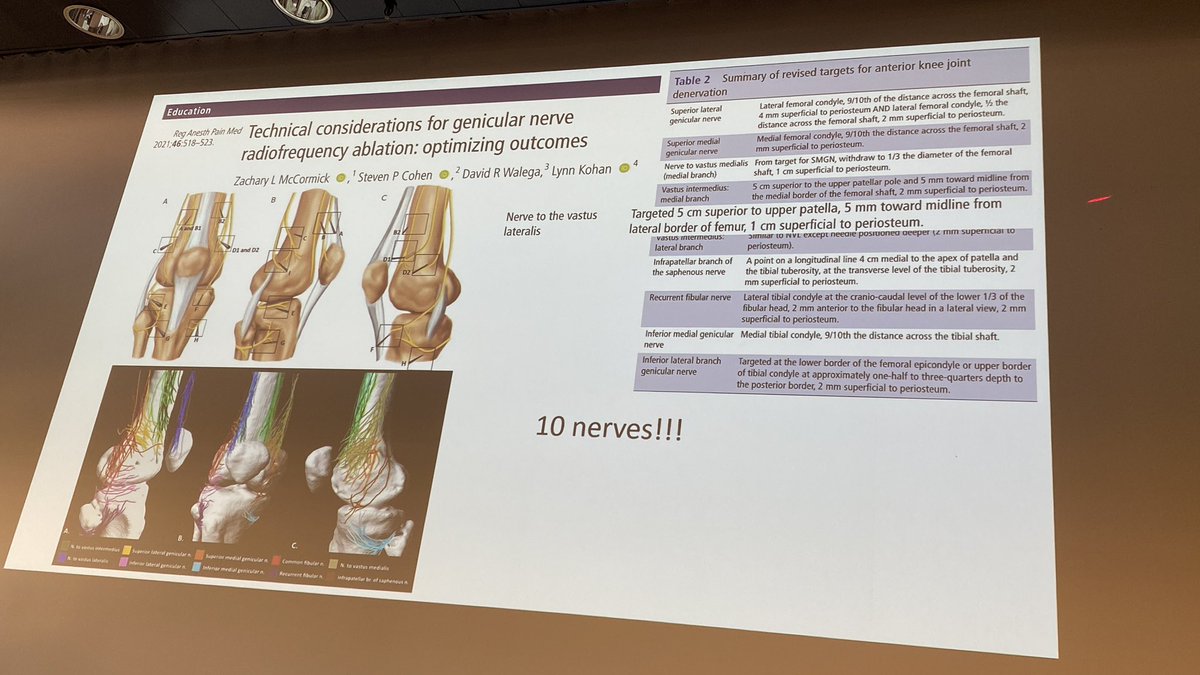 Mariam Latif (@mariam_ltf) on Twitter photo All the golden nuggets regarding knee denervation from the extraordinary <a href="/DrPhilipPeng/">Philip Peng (彭文新)</a> <a href="/ESRA_Society/">ESRA | European Society of Regional Anaesthesia</a> #ESRAWorld2023 All the golden nuggets regarding knee denervation from the extraordinary <a href="/DrPhilipPeng/">Philip Peng (彭文新)</a> <a href="/ESRA_Society/">ESRA | European Society of Regional Anaesthesia</a> #ESRAWorld2023