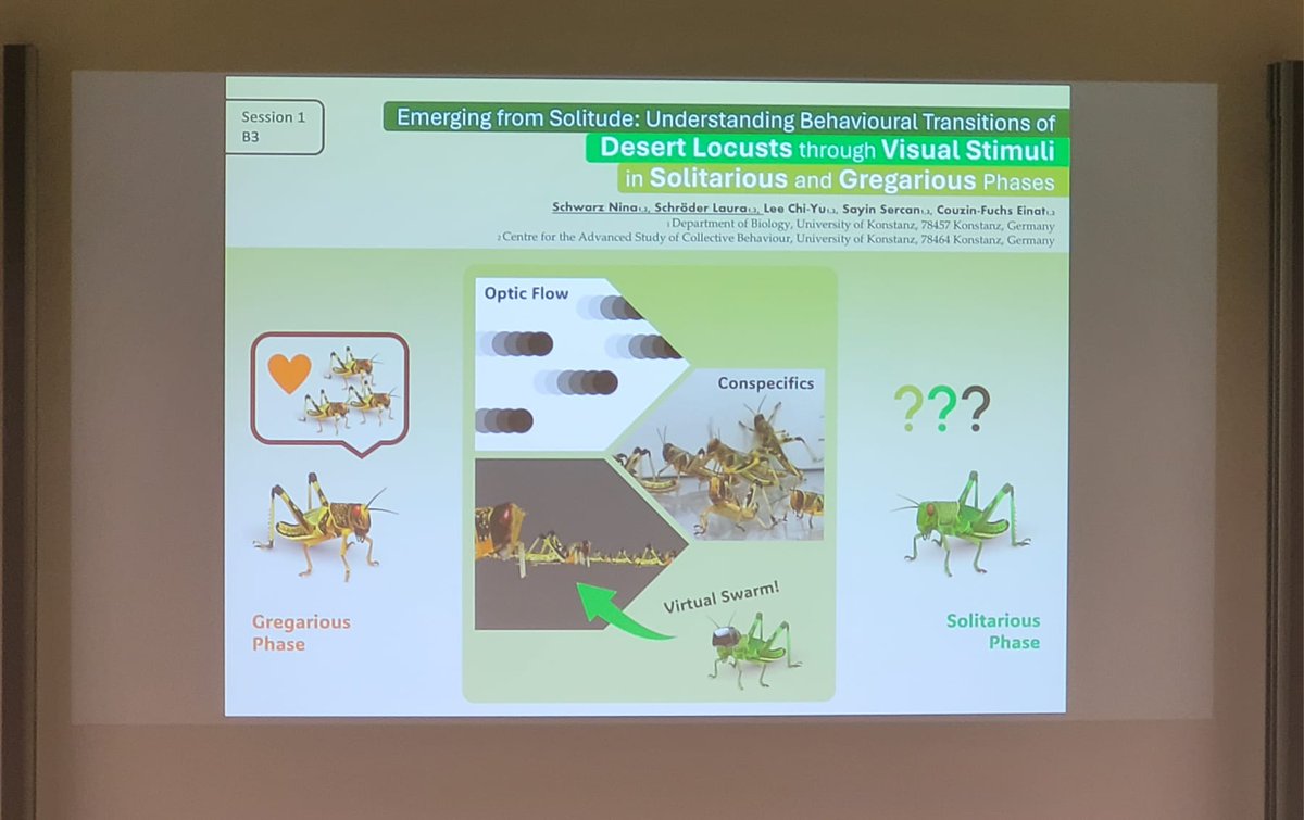 DZG_Behaviour's tweet photo. 🚀 Fantastic kickoff to the first full day of #dzg23 with a brilliant plenary talk by @Pawel_Burkhardt, followed by an engaging first round of poster pitches! 📊 https://t.co/1fRmPw9juT