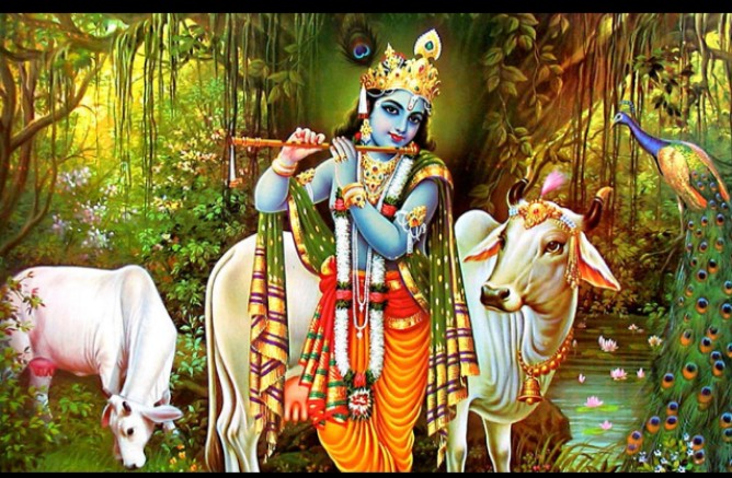 ॐ देविकानन्दनाय विधमहे वासुदेवाय धीमहि तन्नो कृष्ण: प्रचोदयात"
श्री कृष्ण जन्म अष्टमी २०८० हार्दिक शुकामना ❤️🌹