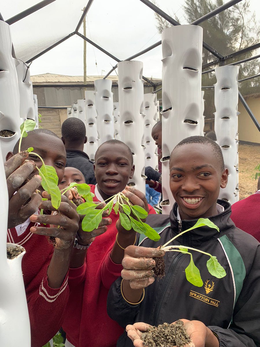 VerticalFarmKe's tweet photo. One of the most rewarding parts of our work, is seeing the impact it has on children. 

Last week, we concluded a hydroponic garden at Kwa Njenga Primary School.

The shade house is 18SQM and is growing over 1500 vegetables  while recycling upto 90% of the irrigation water. https://t.co/B18IF4Nc7e